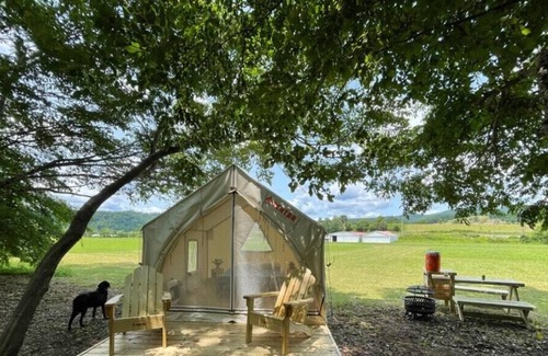 Pence Springs RV Rental | Tentrr Signature Site - Skyhawk