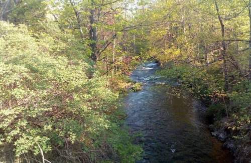 Stanfordville RV Rental | Tentrr Signature Site - A Riverwalk