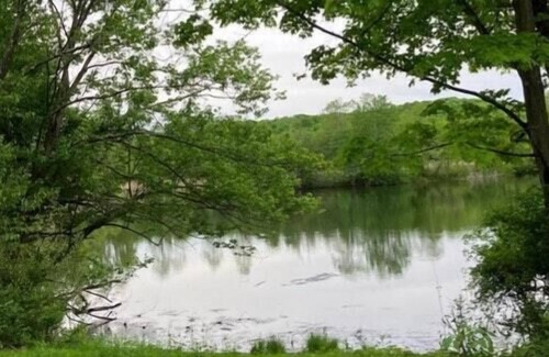 Stanfordville RV Rental | Tentrr Signature Site - Caryn Campsite