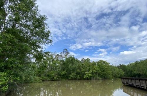 Springfield RV Rental | Tentrr State Park Site - Louisiana Tickfaw State Park - Woodland G - Single Camp