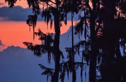 Mandeville RV Rental | Tentrr State Park Site - Louisiana Fontainebleau State Park - Pond View E - Sing
