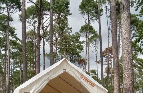 Zwolle RV Rental | Tentrr State Park Site - Louisiana North Toledo Bend State Park - Lakeview A - S