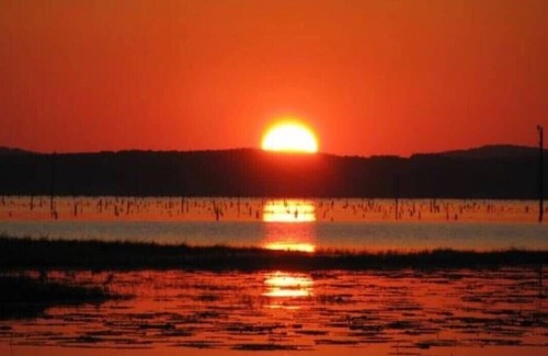 Zwolle RV Rental | Tentrr State Park Site - Louisiana North Toledo Bend State Park - Lakeview D - S