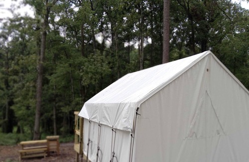 Zwolle RV Rental | Tentrr State Park Site - Louisiana North Toledo Bend State Park - Forest Glade E