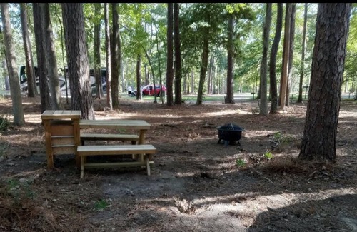 Zwolle RV Rental | Tentrr State Park Site - Louisiana North Toledo Bend State Park - Forest Glade H