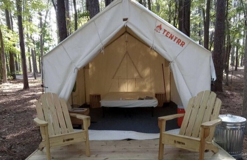 Zwolle RV Rental | Tentrr State Park Site - Louisiana North Toledo Bend State Park - Forest Glade H