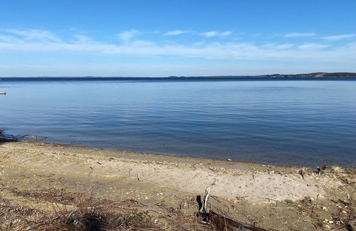 Anacoco RV Rental | Tentrr State Park Site - Louisiana South Toledo Bend State Park - Site A - Sing