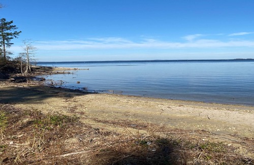 Anacoco RV Rental | Tentrr State Park Site - Louisiana South Toledo Bend State Park - Site B - Sing