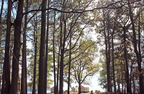 Anacoco RV Rental | Tentrr State Park Site - Louisiana South Toledo Bend State Park - Site G - Sing