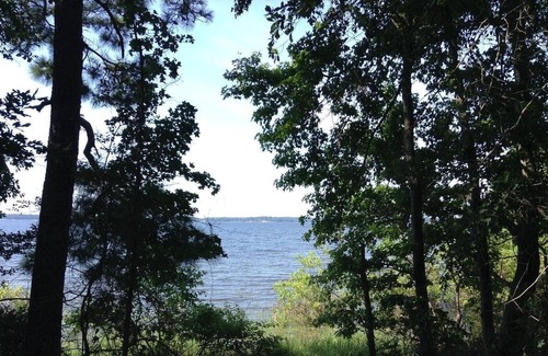 Anacoco RV Rental | Tentrr State Park Site - Louisiana South Toledo Bend State Park - Site I - Sing