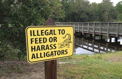 Mandeville RV Rental | Tentrr State Park Site - Louisiana Fontainebleau State Park - Pond View D - Sing