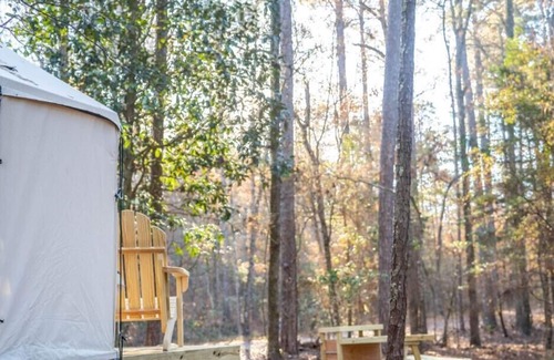 Quitman RV Rental | Tentrr State Park Site - Mississippi Clarkco State Park - Watchtower A - Single