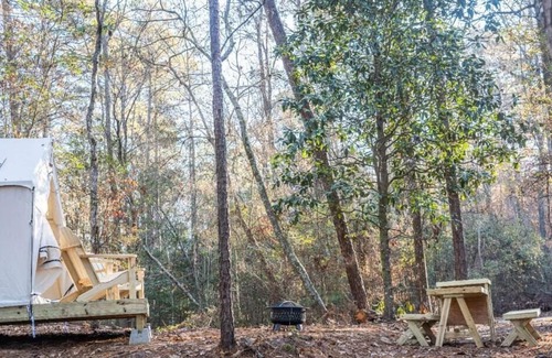 Quitman RV Rental | Tentrr State Park Site - Mississippi Clarkco State Park - Watchtower A - Single