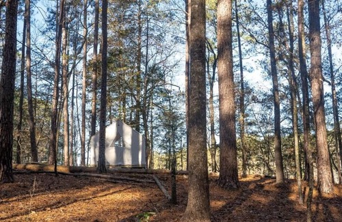 Quitman RV Rental | Tentrr State Park Site - Mississippi Clarkco State Park - Lakeview C - Single Ca