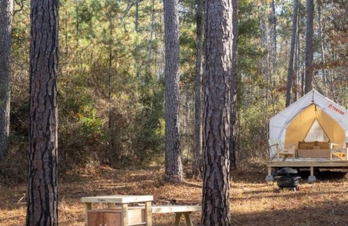 Quitman RV Rental | Tentrr State Park Site - Mississippi Clarkco State Park - Trailside E - Single C