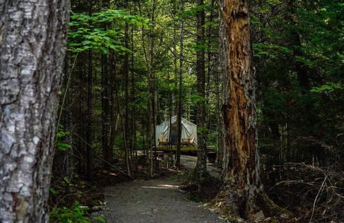Rangeley Plantation RV Rental | Tentrr State Park Site - Maine Rangeley Lake State Park -Lakeview - Single Camp