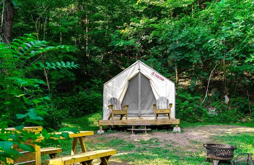 Ansted RV Rental | Tentrr State Park Site - WV Hawk's Nest State Park - Site B - Single Camp