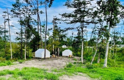 Lake Charles RV Rental | Tentrr State Park Site - Louisiana Sam Houston Jones State Park - Lagoon View D