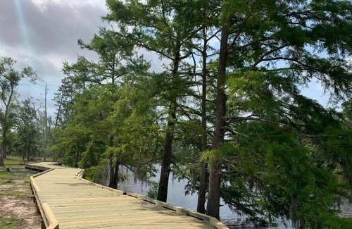 Lake Charles RV Rental | Tentrr State Park Site - Louisiana Sam Houston Jones State Park - Lagoon View D