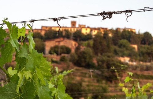 Radda in Chianti House | Tenuta Cortedomina