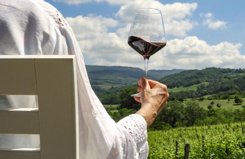 Radda in Chianti House | Tenuta Cortedomina