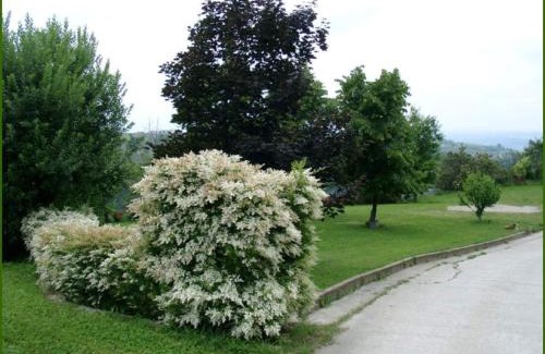 Clavesana House | Tenuta di Costa Prà