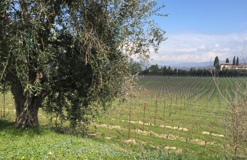Calmasino Apartment | Tenuta La Cà