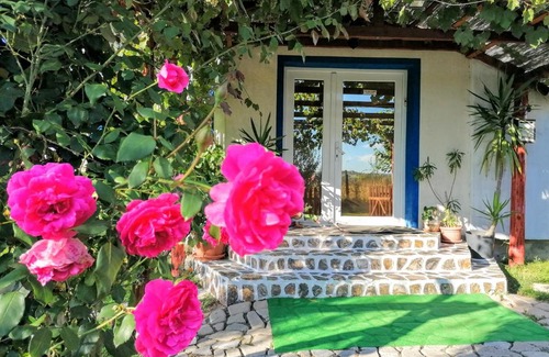 Baile Felix House | Teo Guest Rooms