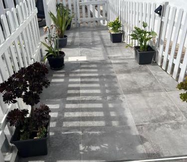 Zahora Apartment | Terapia Salada II