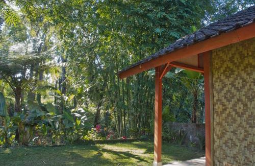 Kecamatan Montong Gading House | Tereng Wilis Jungle Inn