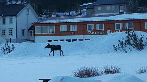 Terrak Hotel | Terråk Gjestegård