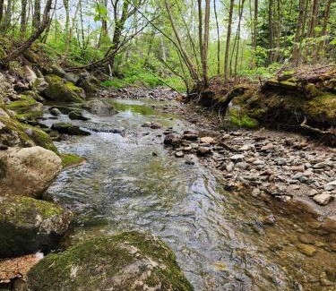 Notre-Dame-Auxiliatrice-de-Buckland Other | Terrain de camping