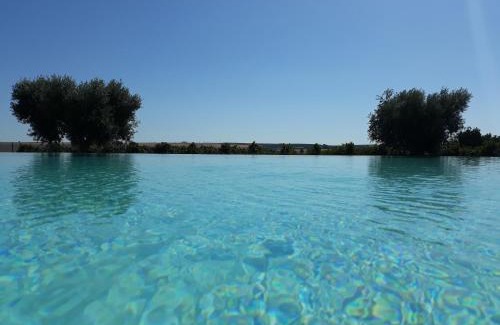 Beja House | Terras - Agroturismo & Vinhos