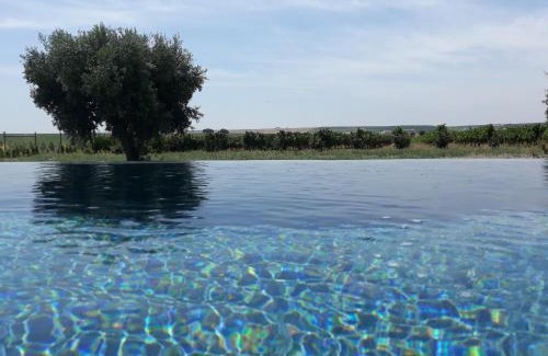 Beja House | Terras - Agroturismo & Vinhos