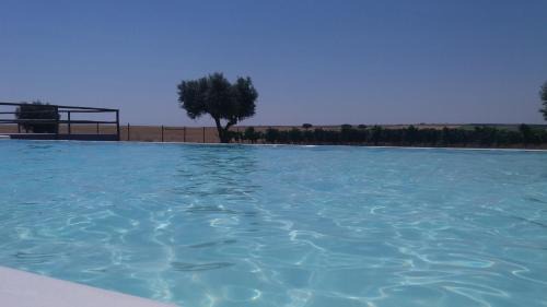 Beja House | Terras - Agroturismo & Vinhos
