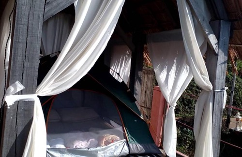 Chiang Rai Province Bed & Breakfast | Terre Terrace Glamping - Doichang