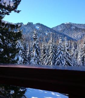 Samokov Apartment | TES Rila Park Apartments