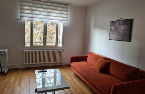 Margnolles - Rhone Apartment | Tete d or