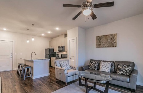 Elmo Apartment | Texas Corporate Housing Professional Apartment