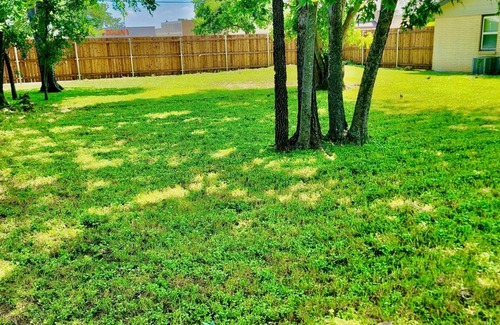 Bedford House | Texas Size Backyard Comfy For Your Family