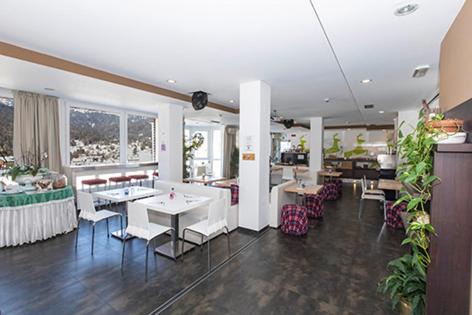 Borca di Cadore Hotel | TH Cadore - Hotel Antelao