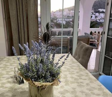 Panteli Apartment | Thalassa Seaview Apartment Leros