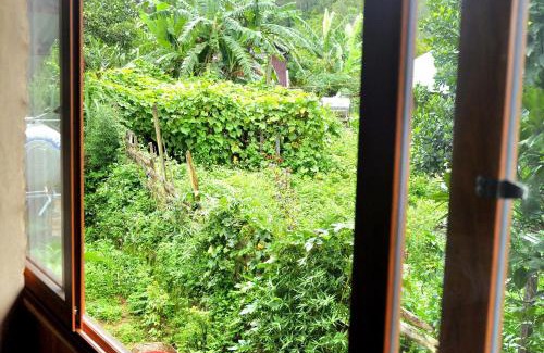 Kon Plong Hotel | Thanh Bình Homestay Măng Đen