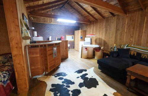 Minden House | That 70s Cabin Yellow Rose Canyon
