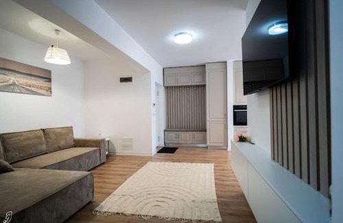Bistrita Apartment | The 10th Floor Apartment