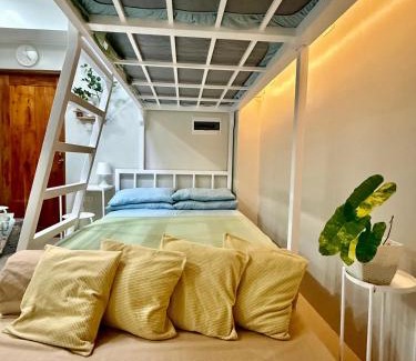 Solano House | the 19Th Transient House