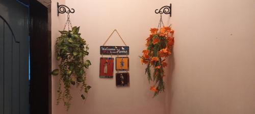 Sualkuchi Apartment | The Acoustics I