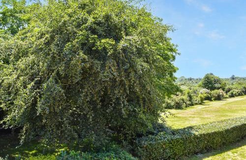 New Forest District House | The Annexe The Roost