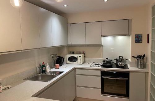 Kelvinbridge House | The Art Flat Woodlands