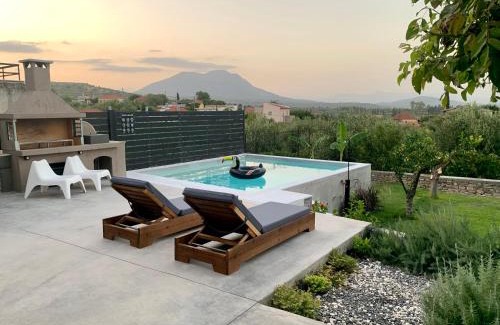 Eva Villa | The Backyard